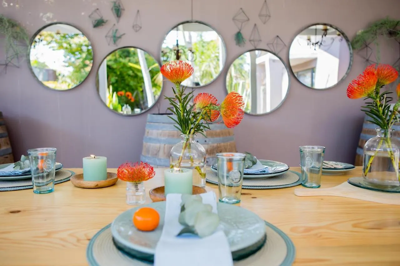 Bed & Breakfast B&B Vinboho Città del Capo